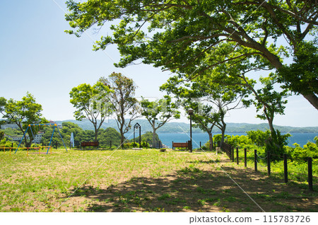 檸檬山公園[和歌山縣、歌山市] 115783726