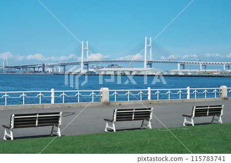 夏季，從橫濱港山下公園的長椅上望去，海灣大橋在藍天的背景下熠熠生輝。 115783741