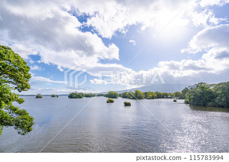 View from Tsukimi Bridge in Onuma Park 115783994