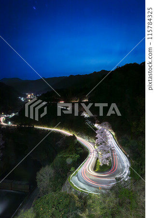 Cherry blossom season at Kimigano Dam 115784325