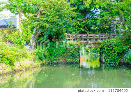 Early summer at Yanagawa Castle Yabemon Ruins, Yanagawa City, Fukuoka Prefecture Early summer at Yanagawa Castle Yabemon Ruins, Yanagawa City, Fukuoka Prefecture 115784405