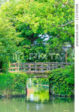 Early summer at Yanagawa Castle Yabemon Ruins, Yanagawa City, Fukuoka Prefecture Early summer at Yanagawa Castle Yabemon Ruins, Yanagawa City, Fukuoka Prefecture 115784406