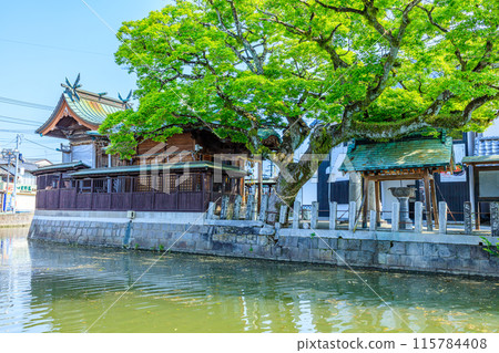 初夏的沖畠水天宮 福岡縣柳川市 115784408