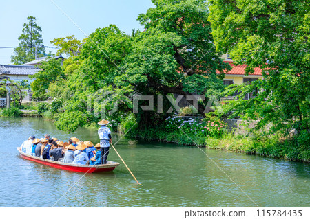初夏柳川城護城河水門河漂流福岡縣柳川市 115784435