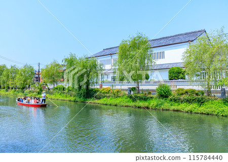初夏柳川風光 柳川堀割川漂流 福岡縣柳川市 初夏柳川風光 柳川堀割川漂流 福岡縣柳川市 115784440