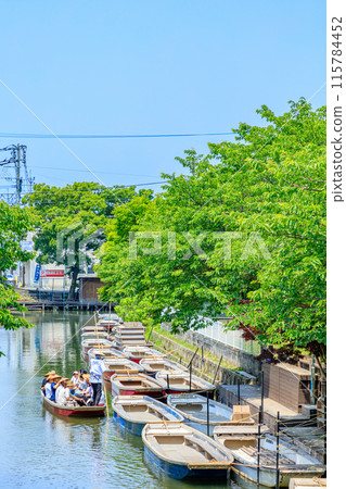 Early summer scenery of Yanagawa, Shogetsu Pier, Yanagawa City, Fukuoka Prefecture 115784452