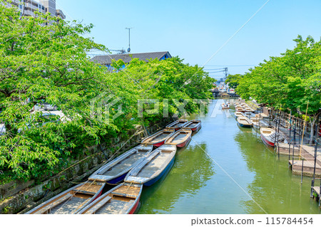 Early summer scenery of Yanagawa, Shogetsu Pier, Yanagawa City, Fukuoka Prefecture 115784454