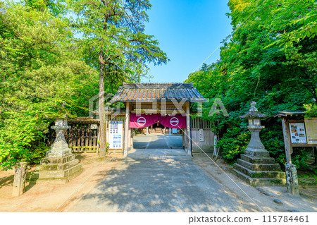 Hiyoshi Shrine in early summer, Yanagawa City, Fukuoka Prefecture 115784461