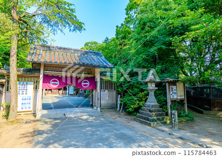 Hiyoshi Shrine in early summer, Yanagawa City, Fukuoka Prefecture 115784463