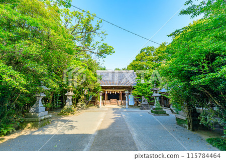 初夏的日吉神社，福岡縣柳川市 115784464