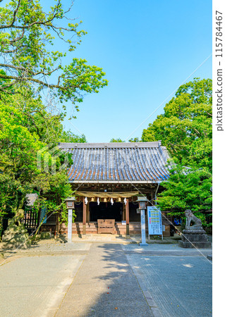 初夏的日吉神社，福岡縣柳川市 115784467