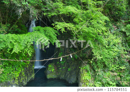 貓又瀑布【奈良縣十津川村織立】 115784551