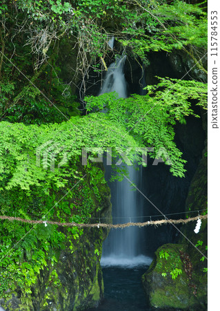 貓又瀑布【奈良縣十津川村織立】 115784553