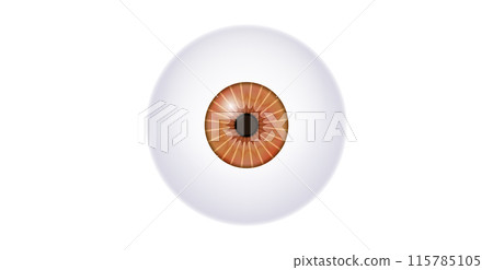 Iris medical poster 115785105