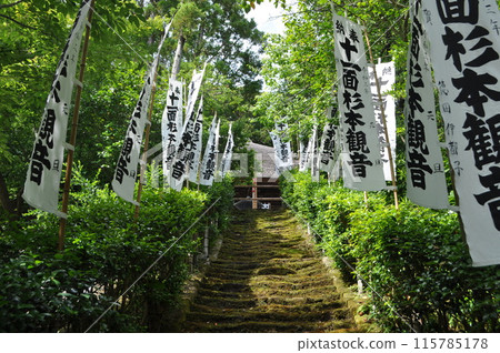 杉本寺,鎌倉,夏天 杉本寺,鎌倉,夏天 115785178