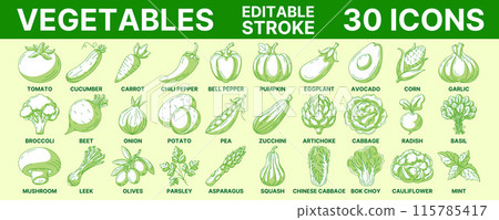 Vegetables and greens, vector minimal line icon set. Editable stroke. Vegetable icon set. Outline icons collection of veggies. Concept of farming, vegetarian food, proper nutrition, harvesting Vegetables and greens, vector minimal line icon set. Editable stroke. Vegetable icon set. Outline icons collection of veggies. Concept of farming, vegetarian food, proper nutrition, harvesting 115785417