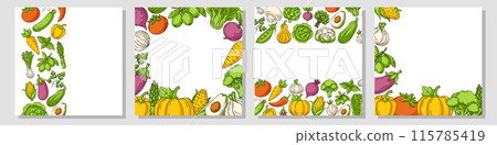 Set of vector colorful square cards, various border frame, veggies icons. Fresh, healthy farm vegetables. Space for text, isolated background. For poster, banner, menu, flyer, cover, social media Set of vector colorful square cards, various border frame, veggies icons. Fresh, healthy farm vegetables. Space for text, isolated background. For poster, banner, menu, flyer, cover, social media 115785419