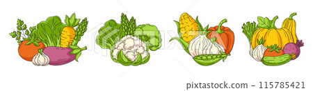 Set with various compositions of seasonal vegetables. Narrow horizontal banner. Fresh and healthy farm veggies, organic product, eco natural produce, harvesting. For poster, menu, flyer, cover, card 115785421