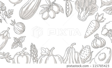 Fresh and healthy farm vegetables, vector minimalist horizontal banner, monochrome veggies icons frame. Space for text, isolated background. Organic product. For poster, menu, flyer, cover, invitation Fresh and healthy farm vegetables, vector minimalist horizontal banner, monochrome veggies icons frame. Space for text, isolated background. Organic product. For poster, menu, flyer, cover, invitation 115785423