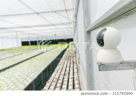 closeup digital camera agriculture farm indoor CCTV monitor and web cam industry security ,smart farming system device. closeup digital camera agriculture farm indoor CCTV monitor and web cam industry security ,smart farming system device. 115785800