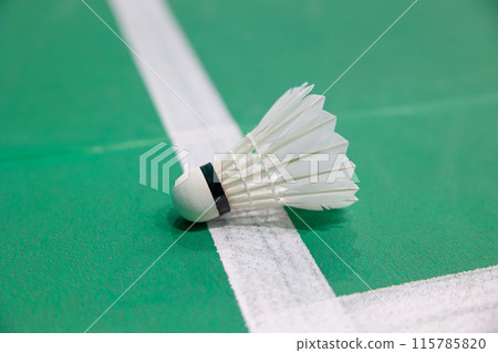 Badminton shuttlecock landed unsighted judge on floor edge court line decision incorrection in or out challenged problem concept Badminton shuttlecock landed unsighted judge on floor edge court line decision incorrection in or out challenged problem concept 115785820