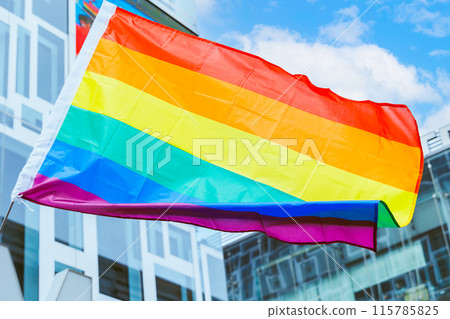 LGBTQ Rainbow flag, Diversity Sign parade for gender equal activity in Pride month day. 115785825