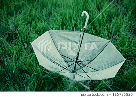 umbrella in the green grass outdoor for raining season wet nature fresh outdoor travel concept 115785826