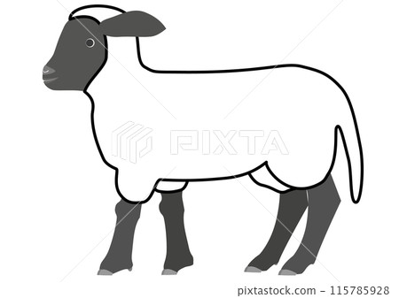從側面看薩福克羔羊的線圖 115785928