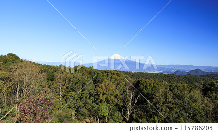 Suruga Bay and Mt. Fuji seen from Mt. Daruma 115786203