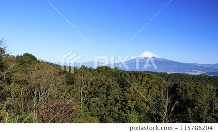 Suruga Bay and Mt. Fuji seen from Mt. Daruma Suruga Bay and Mt. Fuji seen from Mt. Daruma 115786204