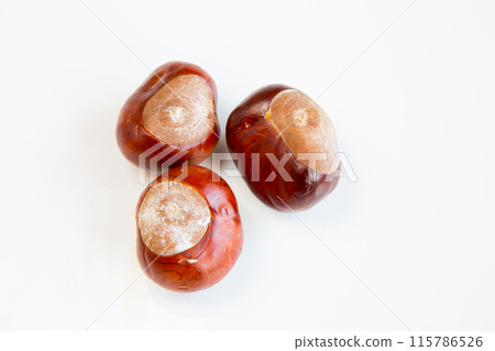 chestnuts 115786526