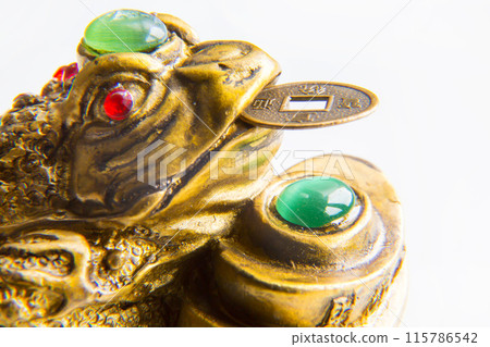 Money Frog with the coin symbolizing wealth and prosperity Money Frog with the coin symbolizing wealth and prosperity 115786542