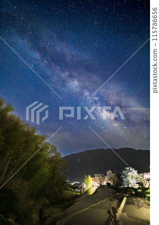 Cherry blossoms and the Milky Way at Mitake Cherry blossoms and the Milky Way at Mitake 115786656