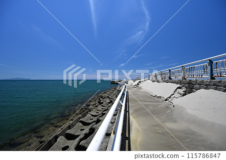 Seaside scenery at Eguchihama Seaside Park Seaside scenery at Eguchihama Seaside Park 115786847