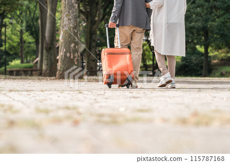 Rear view of an elderly couple traveling with a suitcase 115787168