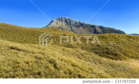 Taiwan, high mountains, big trees, Hehuan Mountain, mountain range, mountain climbing, Taiwan, high mountains, big trees, ヘフアン山, mountains, mountain climbing, Taiwan, Taiwan, high mountains, big trees, Hehuan Mountain, mountain range, mountain climbing, Taiwan, high mountains, big trees, ヘフアン山, mountains, mountain climbing, Taiwan, 115787208
