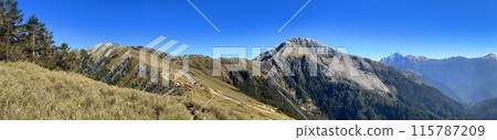 台灣，高山，大樹，合歡山，山脈，爬山，台湾、高山、大きな木、ヘフアン山、山、登山、Taiwan, 115787209