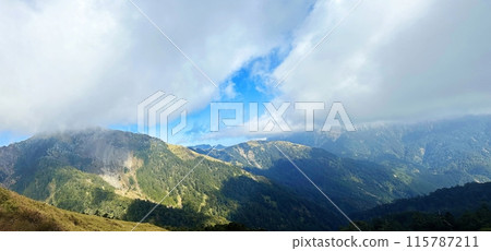 台灣，高山，大樹，合歡山，山脈，爬山，台湾、高山、大きな木、ヘフアン山、山、登山、Taiwan, 115787211