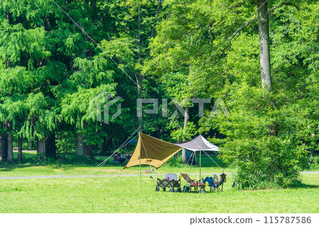 在公園鋪上防水布,享受日間露營 在公園鋪上防水布,享受日間露營 115787586