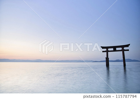 白鬚神社，清晨的大鳥居湖門，水平構圖 24 115787794