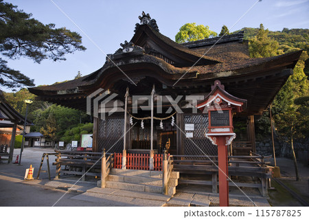 Shirahige Shrine, Main Hall and Worship Hall, Horizontal Composition 3 115787825