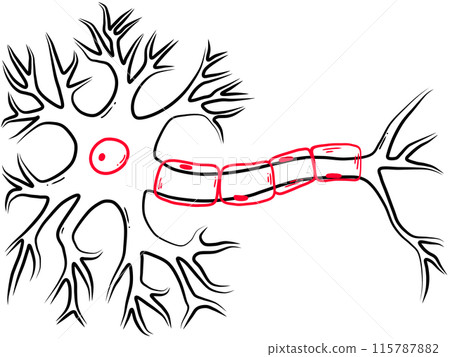 human nerve cell created by black and red line 115787882