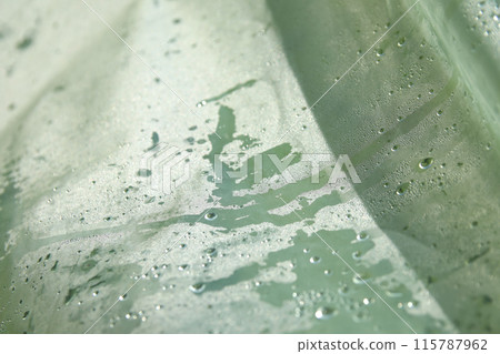 Greenhouse effect depicted by condensation drops on film. Close-up of condensation drops in a greenhouse, greenhouse effect 115787962