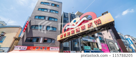 "Tokyo" Clear blue sky and the scenery of Sugamo Jizo-dori Shopping Street, Toshima Ward 115788205