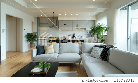 新建房屋中客廳的影像 115788315