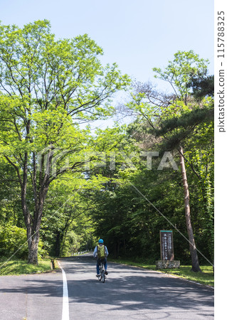 Fresh greenery and early summer cycling image (Hiruzen Plateau) Fresh greenery and early summer cycling image (Hiruzen Plateau) 115788325