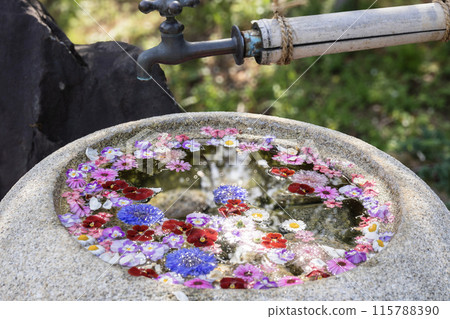 風早之裡：富士山與盛開的花朵 115788390