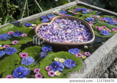 Kazahaya Village: Fuji in full bloom and flower water fountain Kazahaya Village: Fuji in full bloom and flower water fountain 115788470