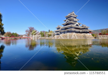 Matsumoto Castle, a national treasure, stands out against the blue sky Matsumoto Castle, a national treasure, stands out against the blue sky 115788551