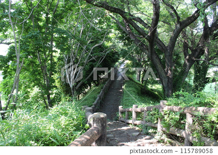 Kamisuwa Castle 115789058